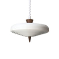 CALDERWOOD SUNBEAM HANGING LIGHT