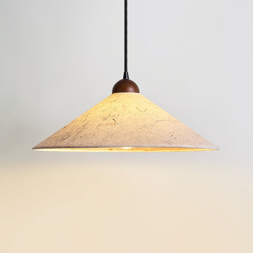 RAVENHURST ADJUSTABLE ARM CEILING LANTERN