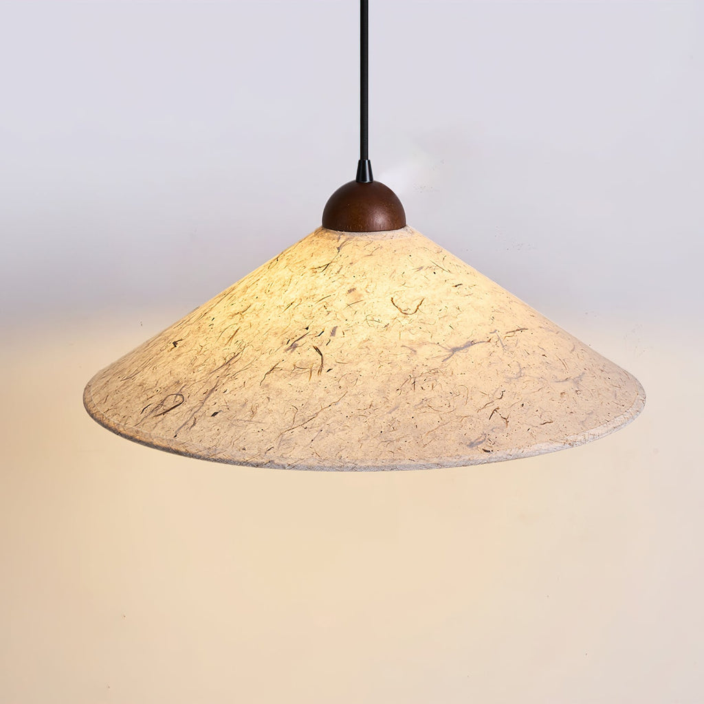 RAVENHURST ADJUSTABLE ARM CEILING LANTERN