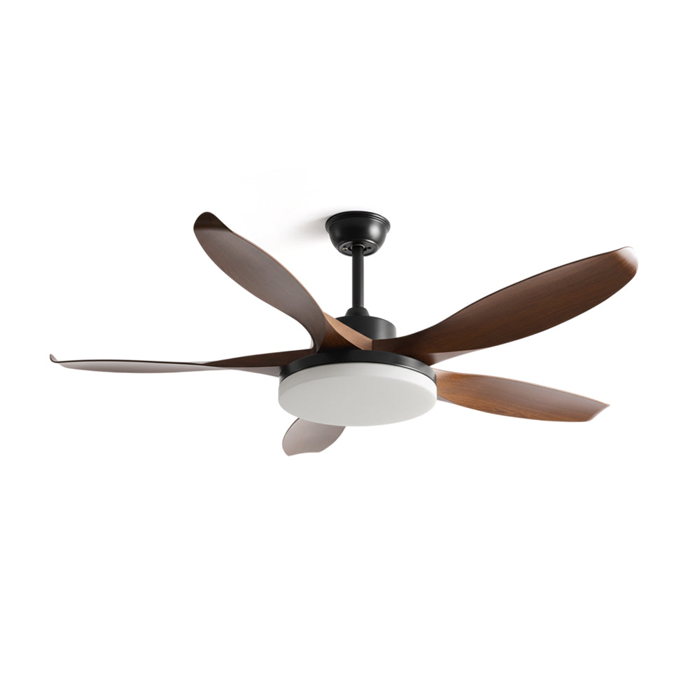 RAVENWOOD WHIRL LIGHTING FIXTURE
