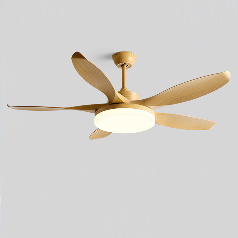 RAVENWOOD WHIRL LIGHTING FIXTURE