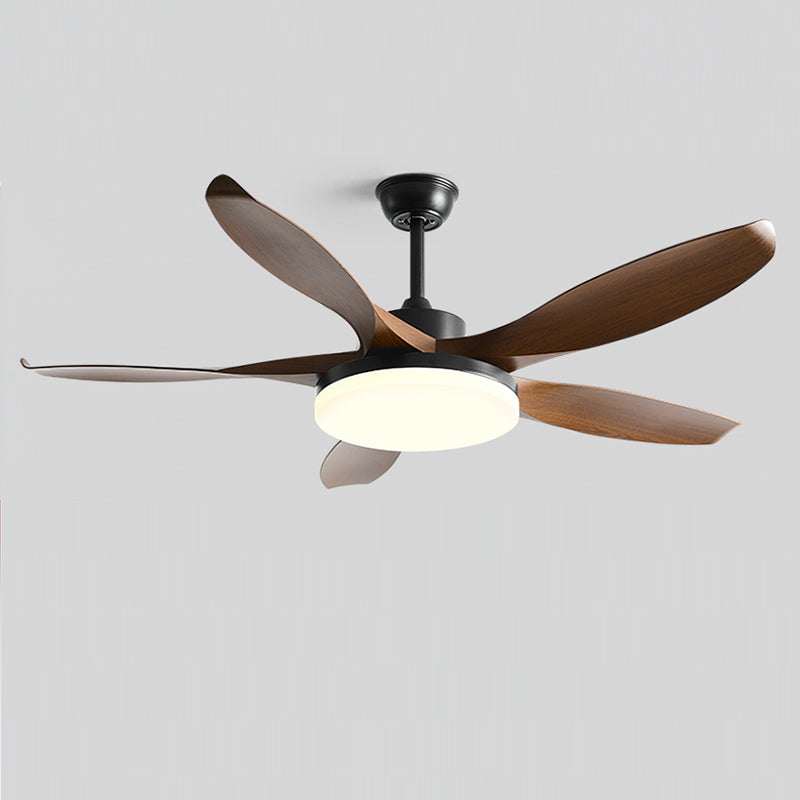 RAVENWOOD WHIRL LIGHTING FIXTURE