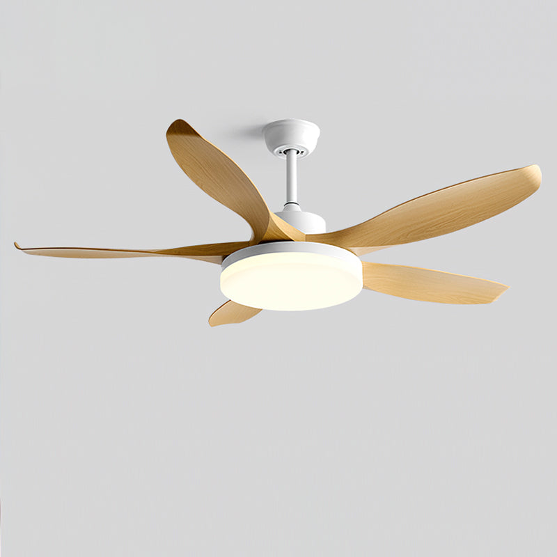 RAVENWOOD WHIRL LIGHTING FIXTURE