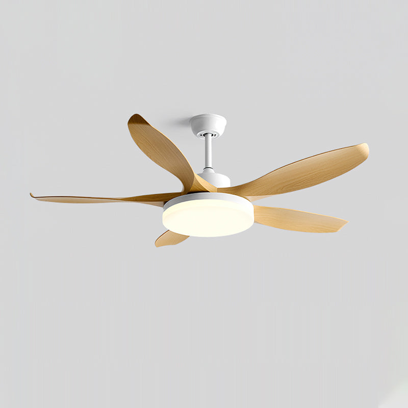 RAVENWOOD WHIRL LIGHTING FIXTURE