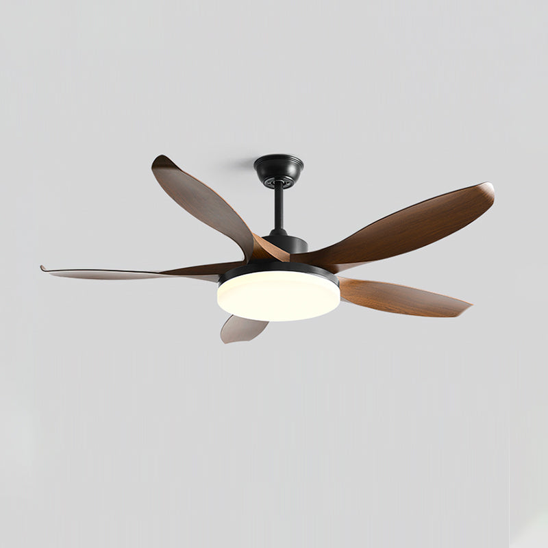 RAVENWOOD WHIRL LIGHTING FIXTURE