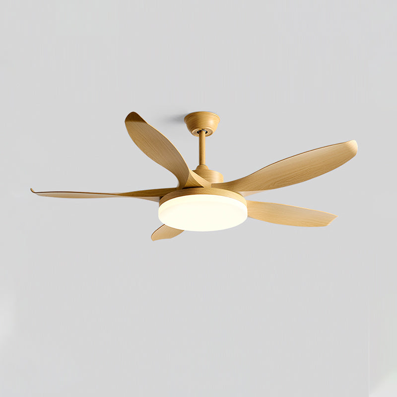 RAVENWOOD WHIRL LIGHTING FIXTURE