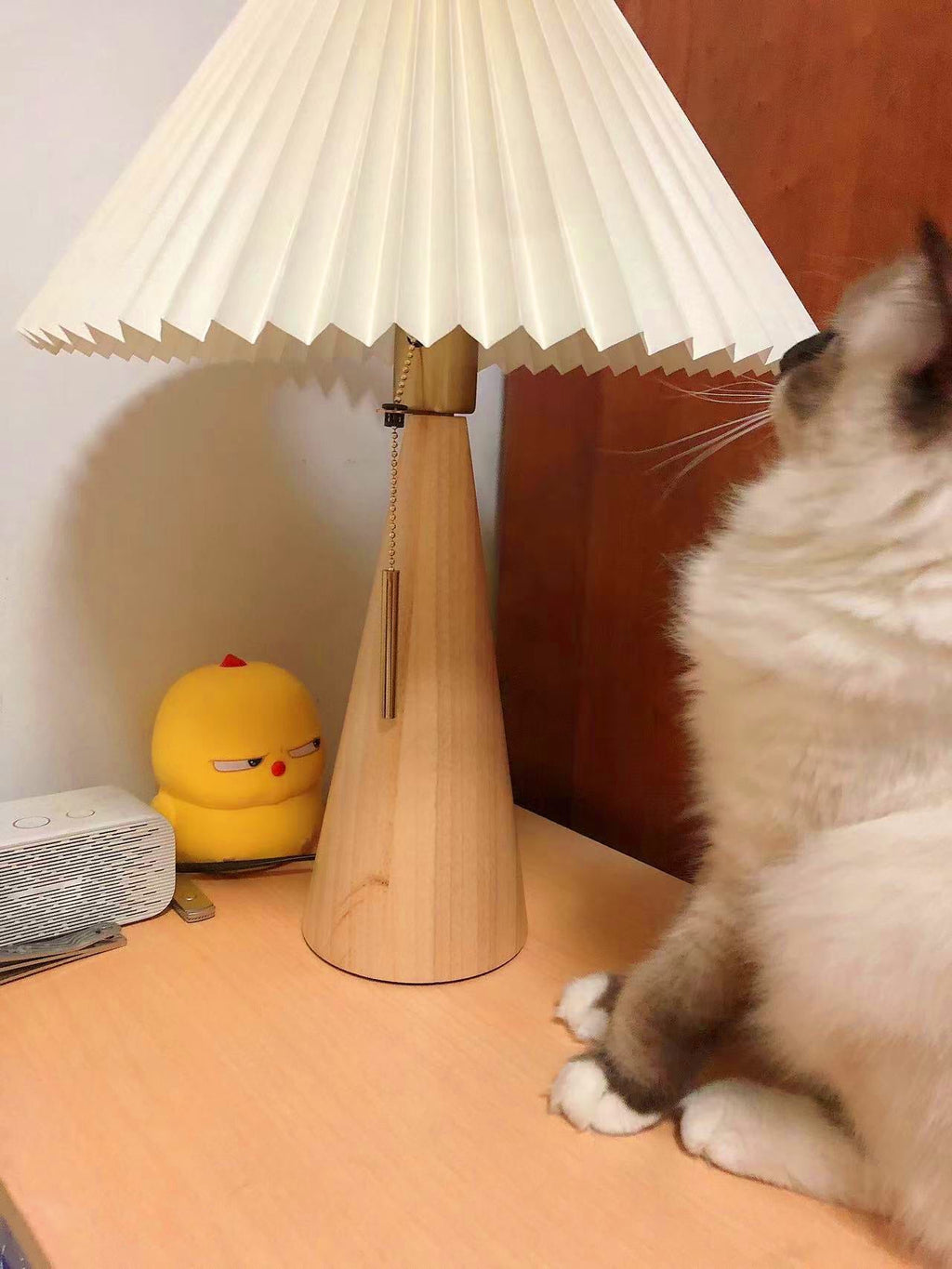 FENWICK WOVEN CANOPY TABLE LAMP