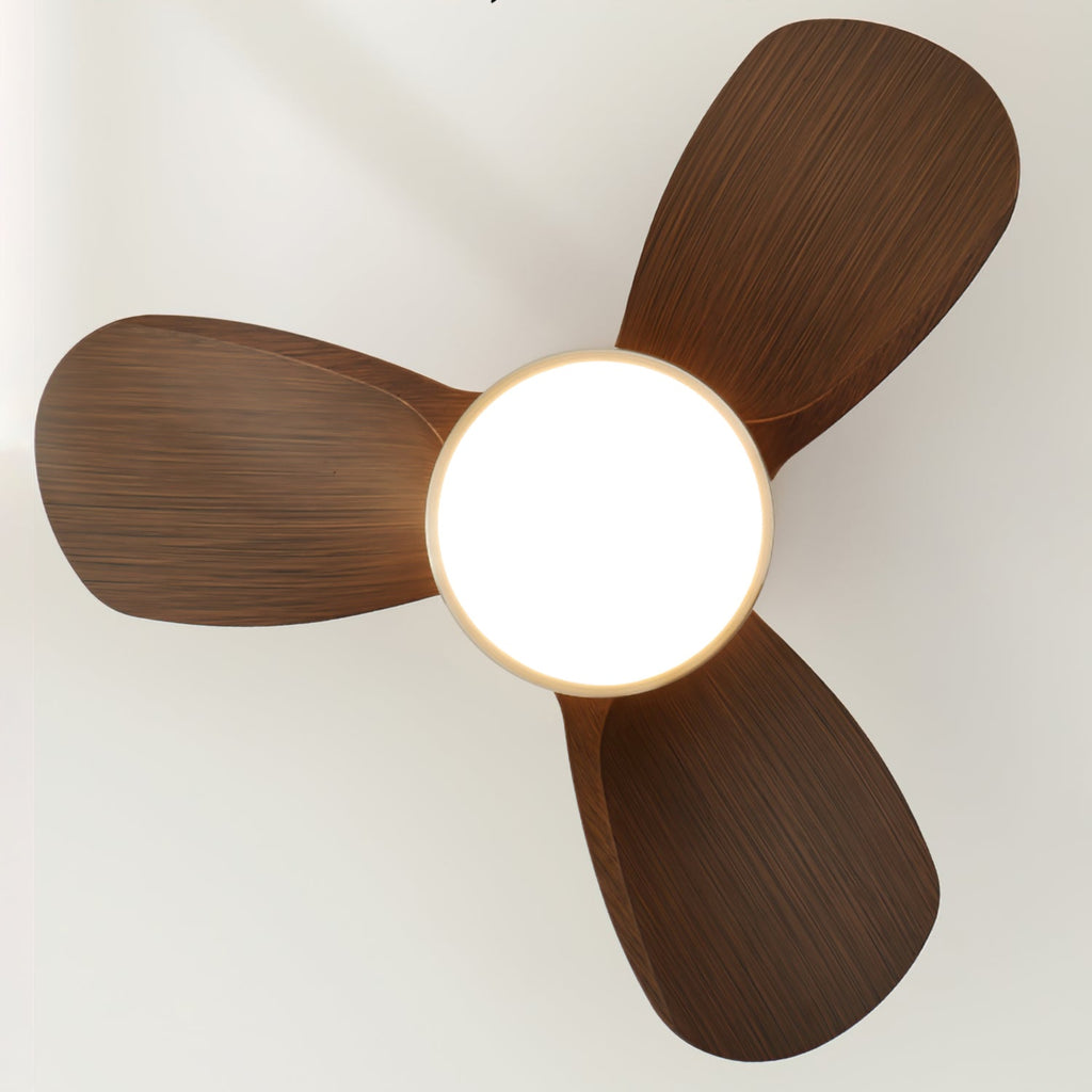 FENWICK WHIRL CEILING LIGHTING FIXTURE