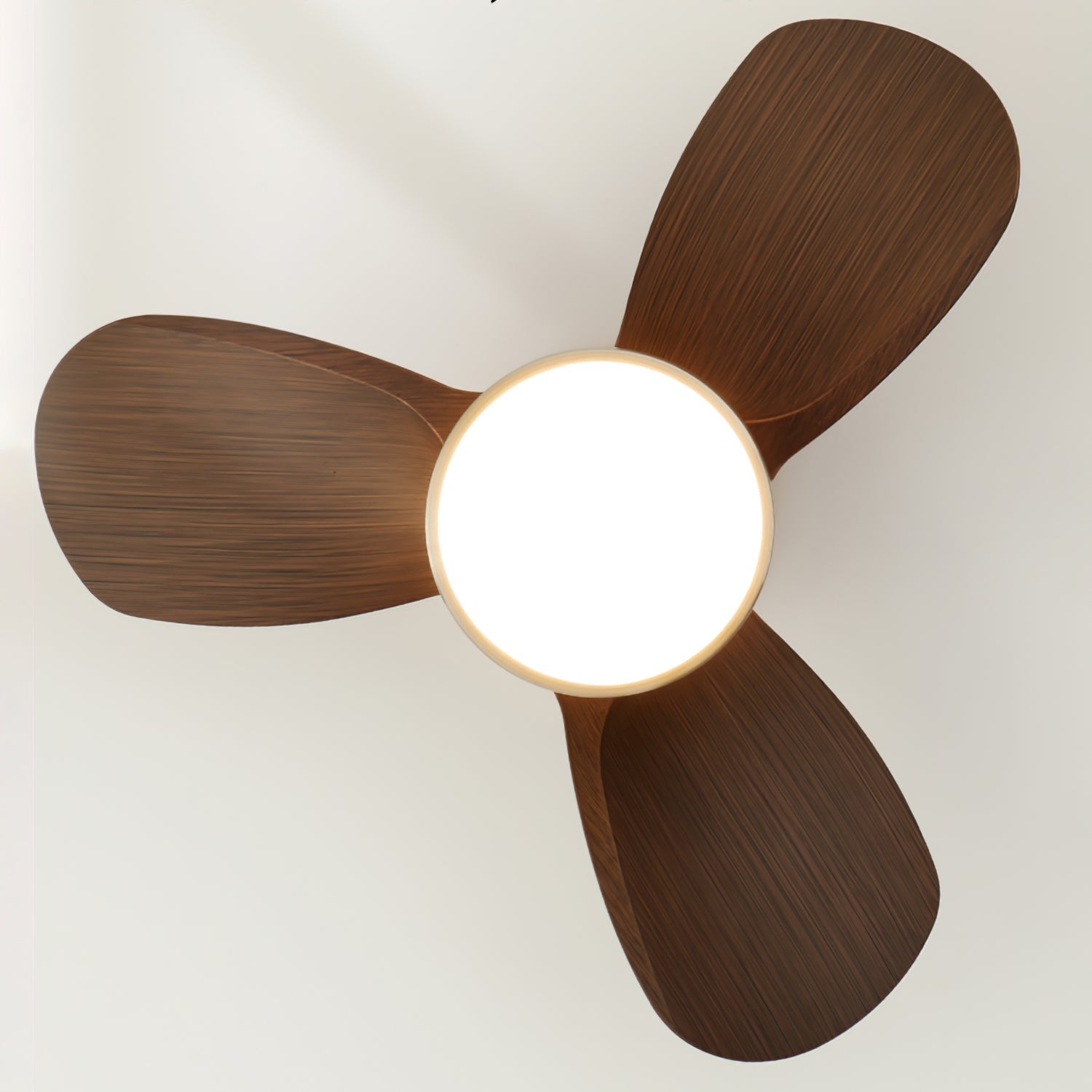 FENWICK WHIRL CEILING LIGHTING FIXTURE