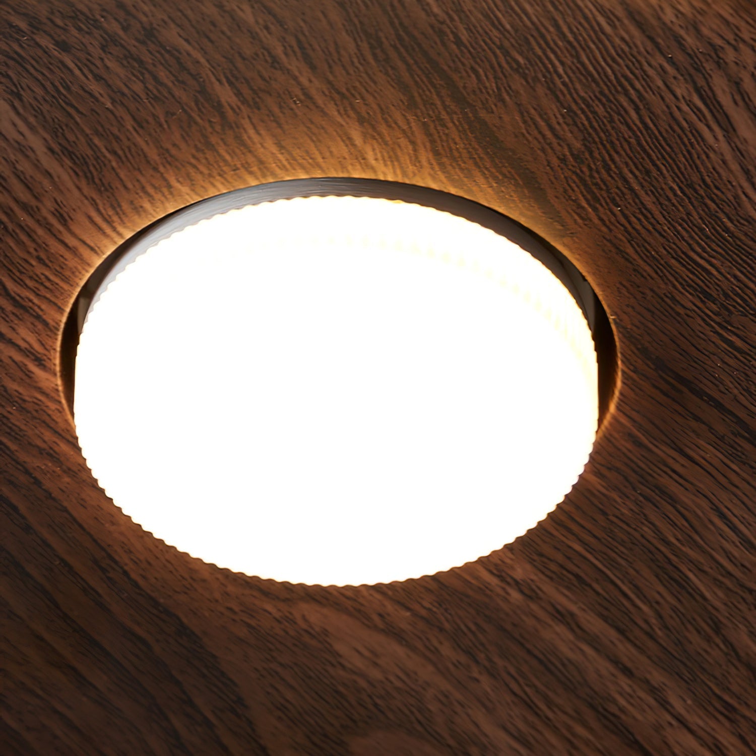FENWICK HARMONY DRUM LIGHTING FIXTURE