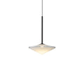 ALDERSON HANGING GLOBE ILLUMINATOR