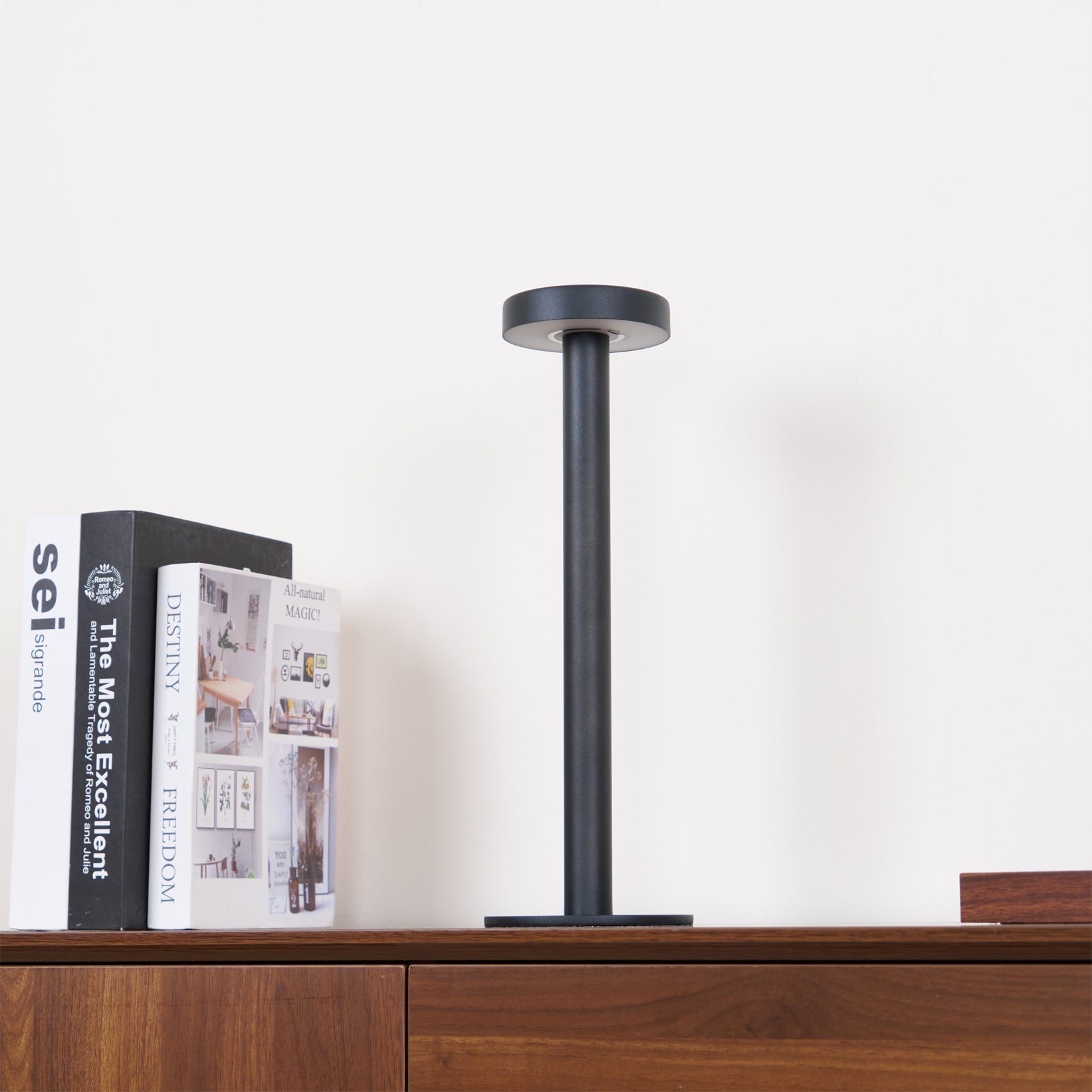 WINTHROP PORTABLE ILLUMINATION LAMP