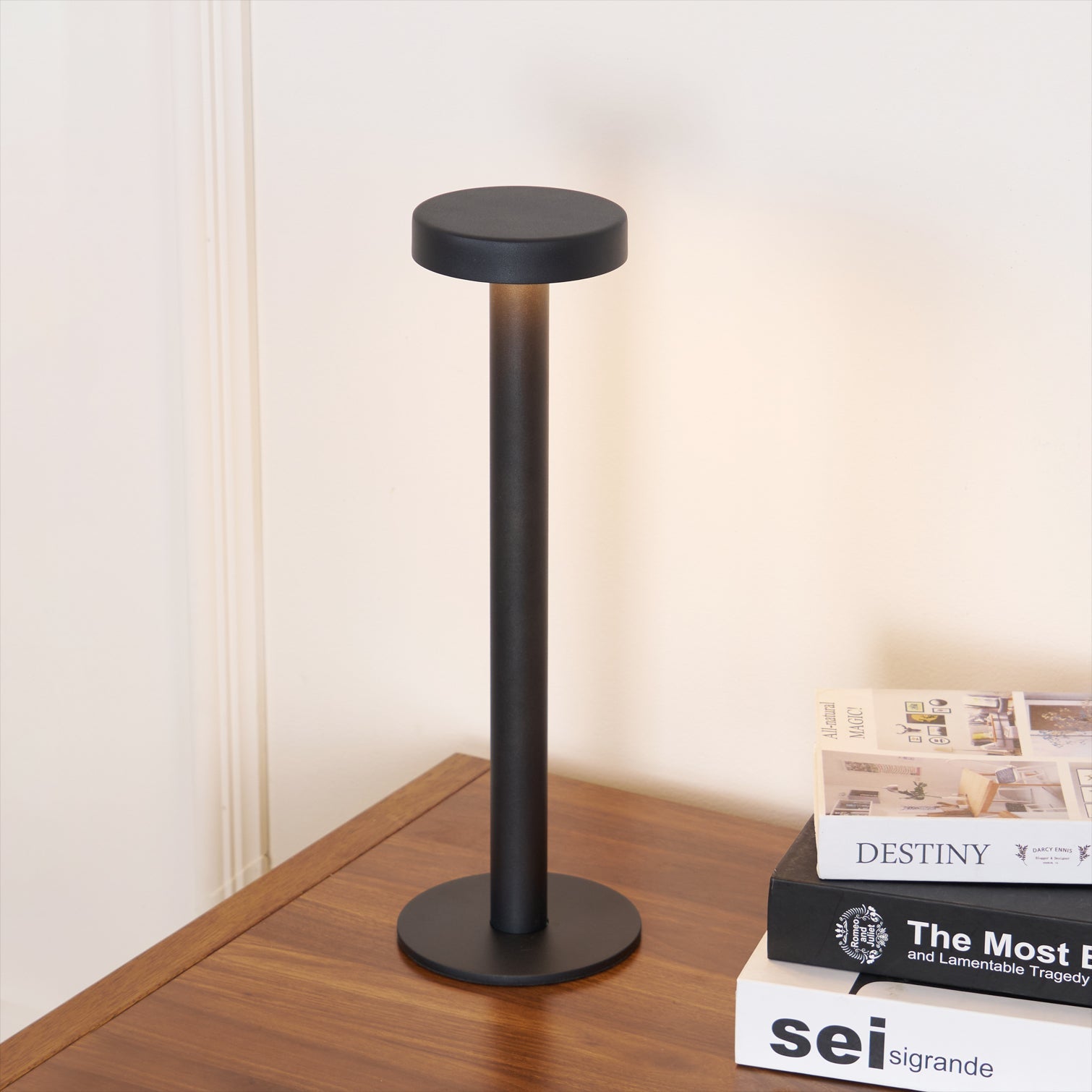 WINTHROP PORTABLE ILLUMINATION LAMP