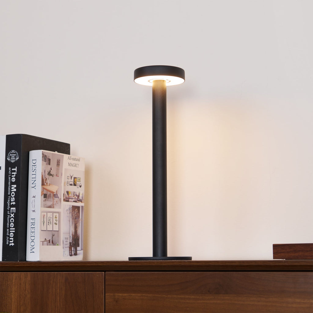 WINTHROP PORTABLE ILLUMINATION LAMP