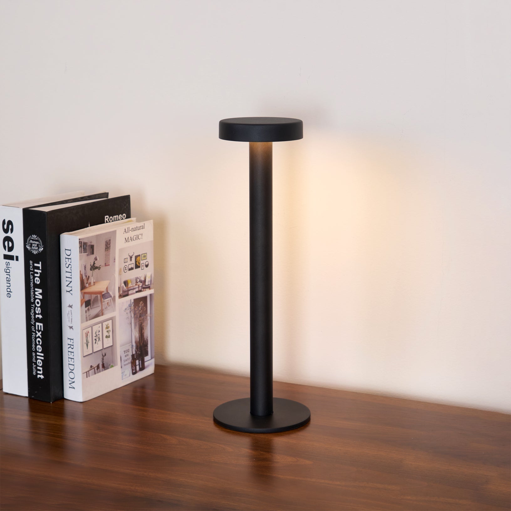 WINTHROP PORTABLE ILLUMINATION LAMP