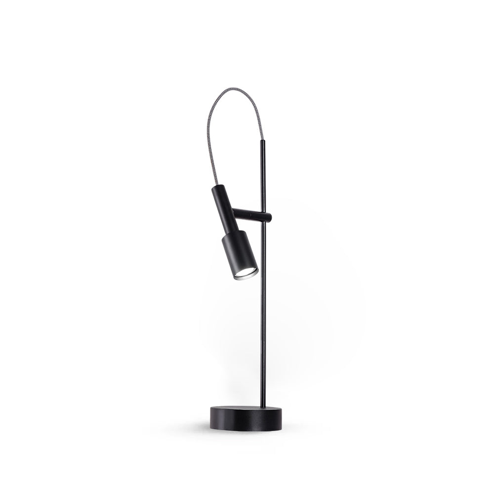 RAVENSDALE ILLUMINATED CRESCENT LAMP