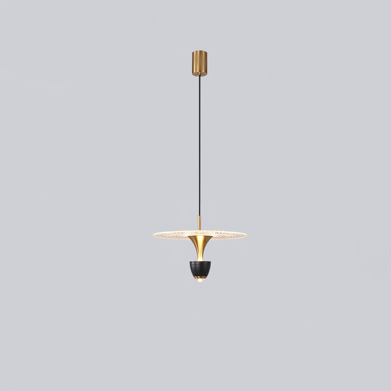 ASTONIA AERODYNAMIC GLASS HANGING LAMP
