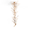 FARTHINGALE FOLIAGE CEILING LIGHT