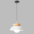 FENWICK AERIE HANGING LIGHT