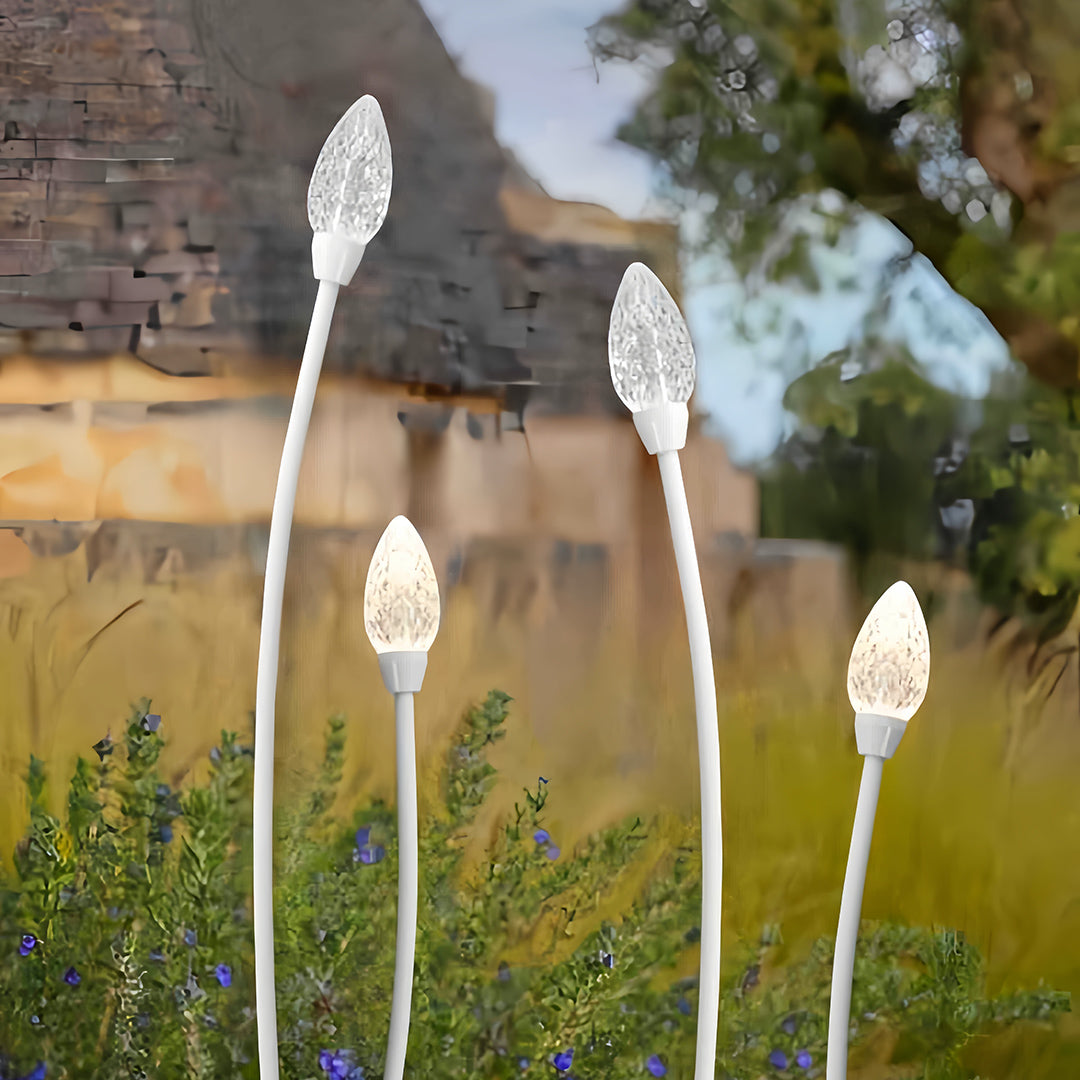 WINDSOR BLOOM CRYSTAL GARDEN ILLUMINATOR