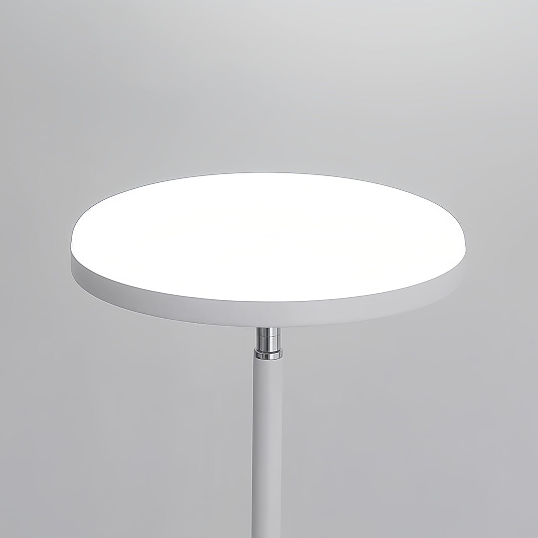 RAVENHURST TWIN-TONE READING LAMP WITH AMBIENT GLOW