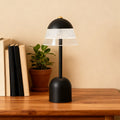 WINTHORPE USB-POWERED READING LAMP WITH EYE-CARING LED ILLUMINATION