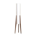 ALDERSON CALMING AMBIENT FLOOR LIGHT