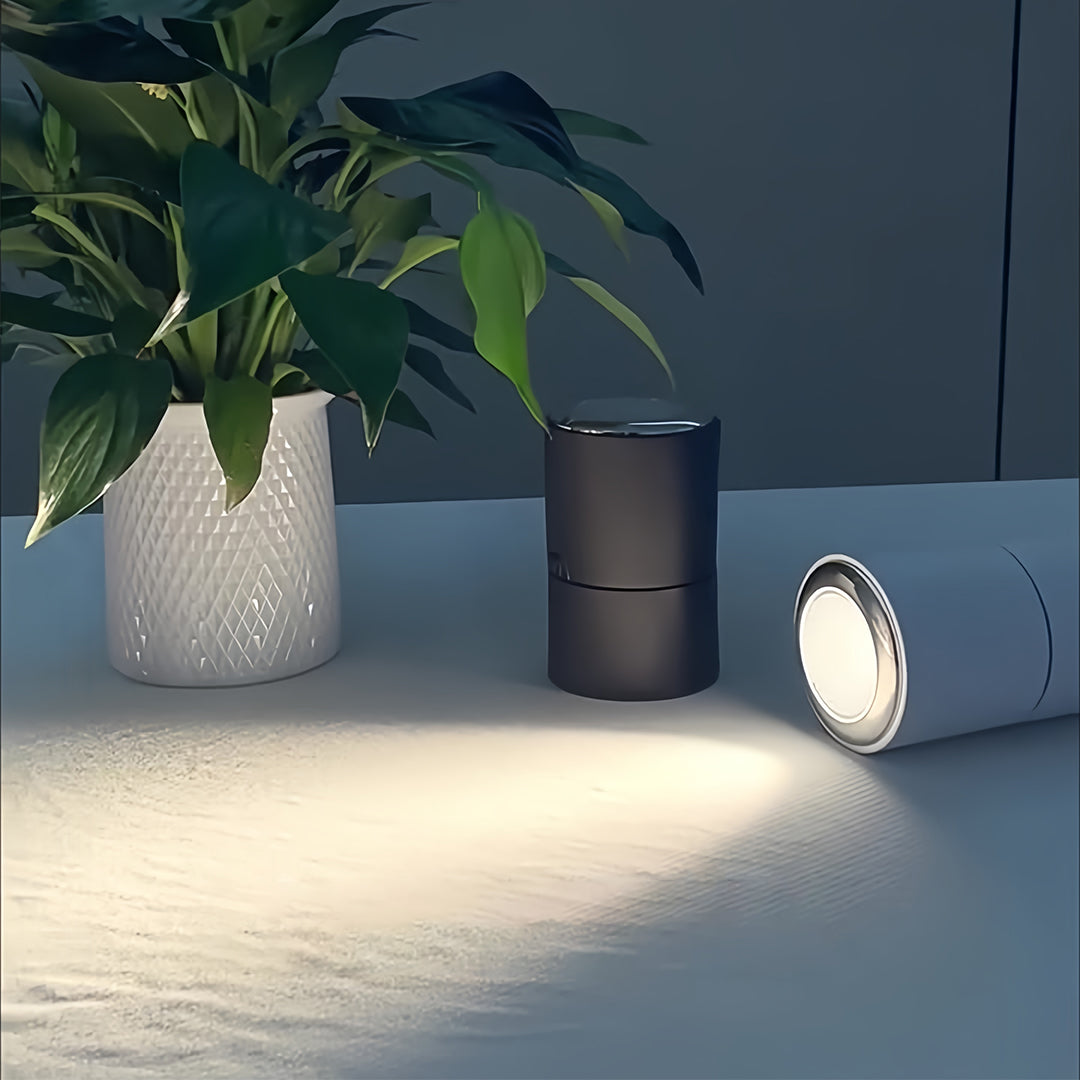 WINDSOR 360° ADJUSTABLE LED SPOTLIGHT WITH ANTI-GLARE BAFFLE