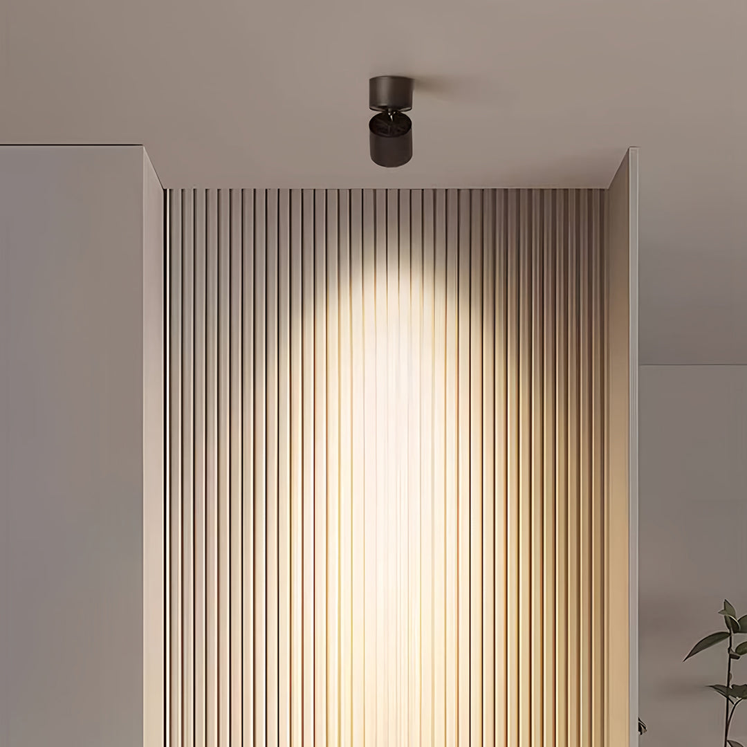 WINDSOR 360° ADJUSTABLE LED SPOTLIGHT WITH ANTI-GLARE BAFFLE