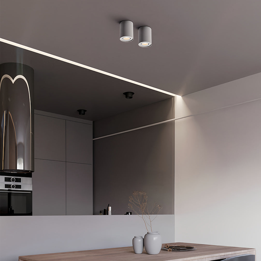 BLACKTHORN CYLINDRICAL LED SURFACE LIGHTING FIXTURE