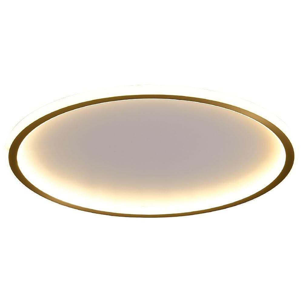 WINTERBOURNE CIRCULAR LED FLUSH MOUNT LIGHT