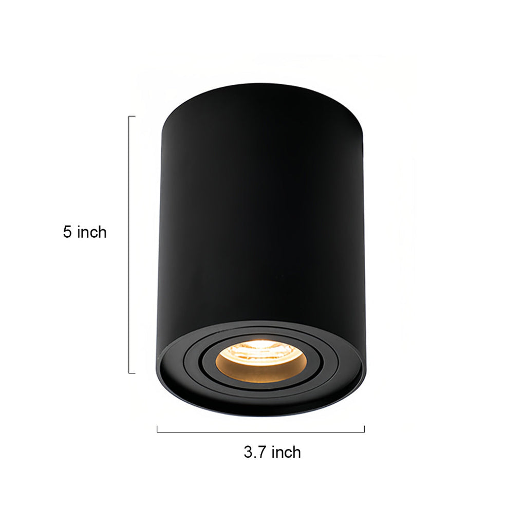 BLACKTHORN CYLINDRICAL LED SURFACE LIGHTING FIXTURE
