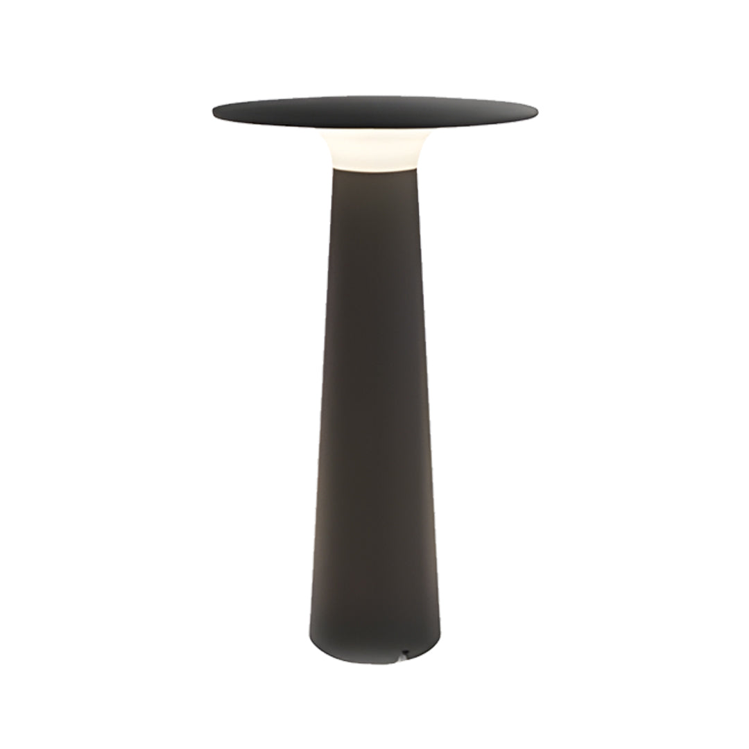 WINDSOR GARDEN RADIANCE OUTDOOR LAMP