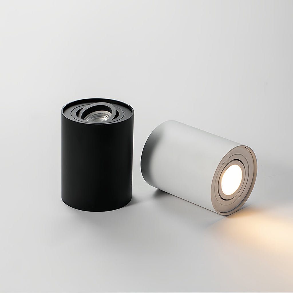 BLACKTHORN CYLINDRICAL LED SURFACE LIGHTING FIXTURE