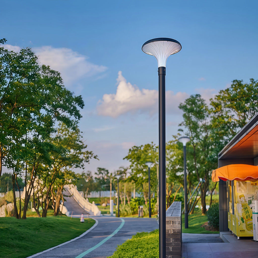 WINTERBOURNE SOLAR-POWERED HIGH POLE ILLUMINATOR