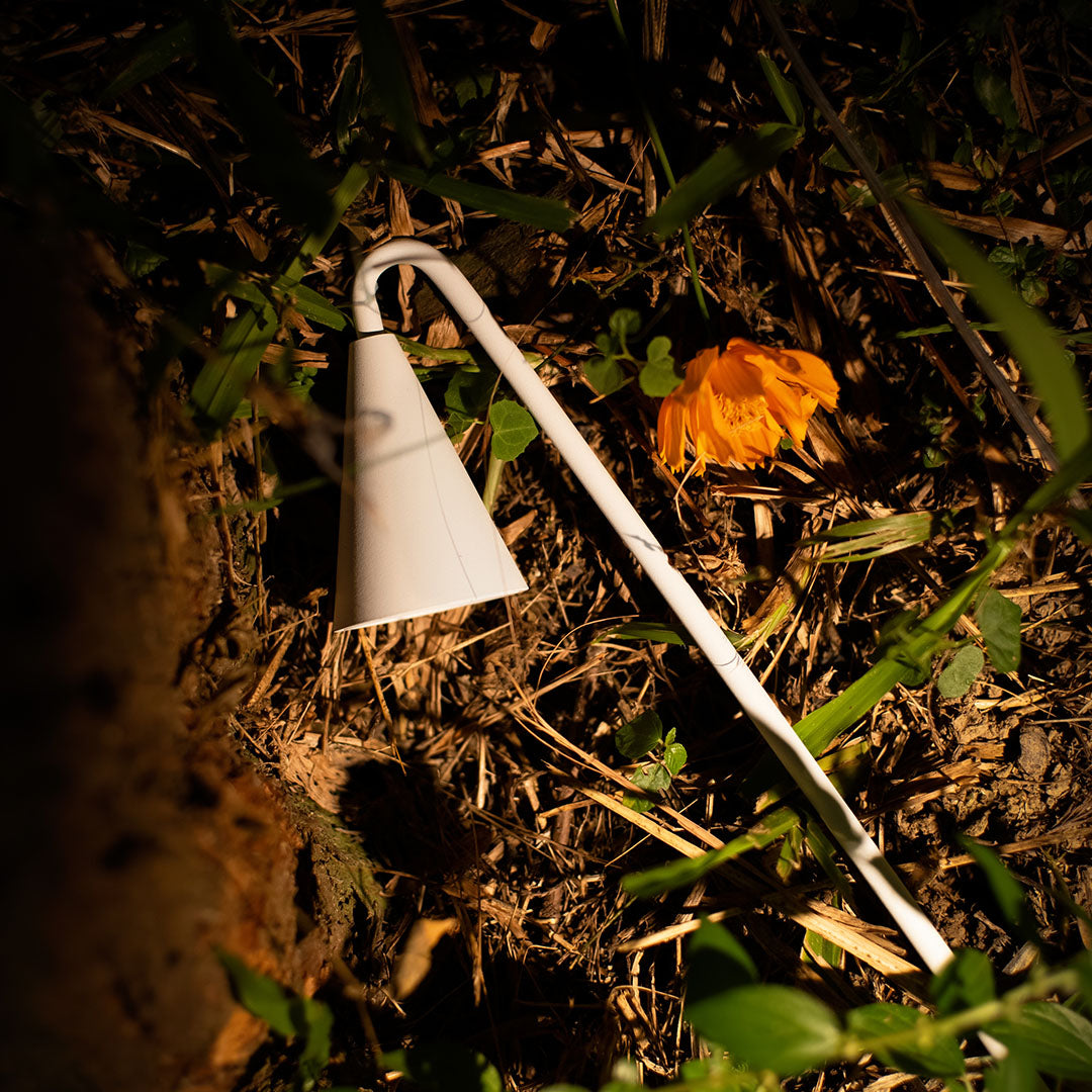 BRAMBLETON METAL GARDEN PATH LIGHTS WITH WEATHER-RESISTANT LED ILLUMINATION