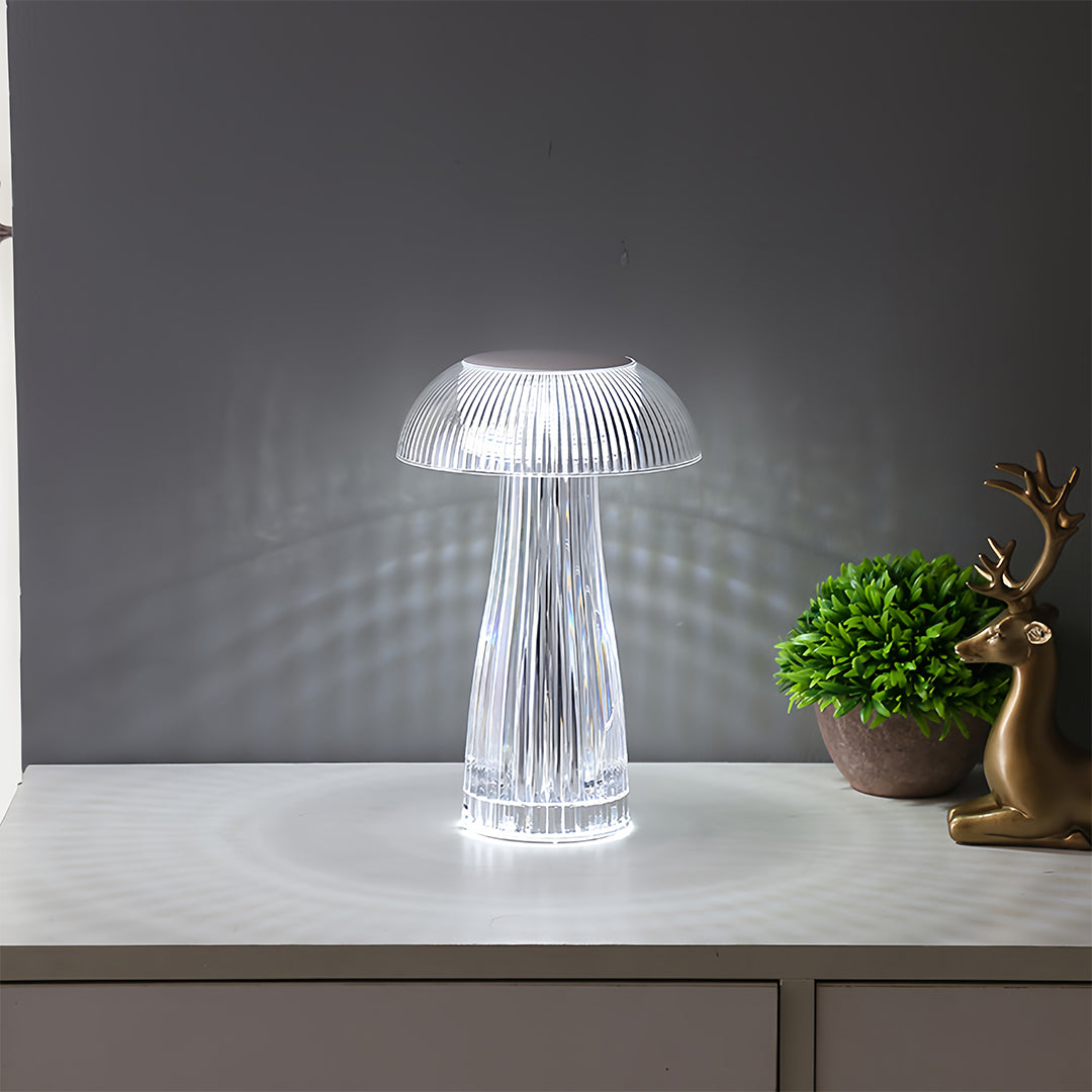 1. **WILLOUGHBY ILLUMINATED ACRYLIC TABLE LAMP**  
   A strikingly clear lamp that combines modern design with portability, perfect for adding a luminous touch to any space.

2. **FENWICK TRANSLUCENT ACRYLIC LAMP**  
   This portable lamp showcases a slee