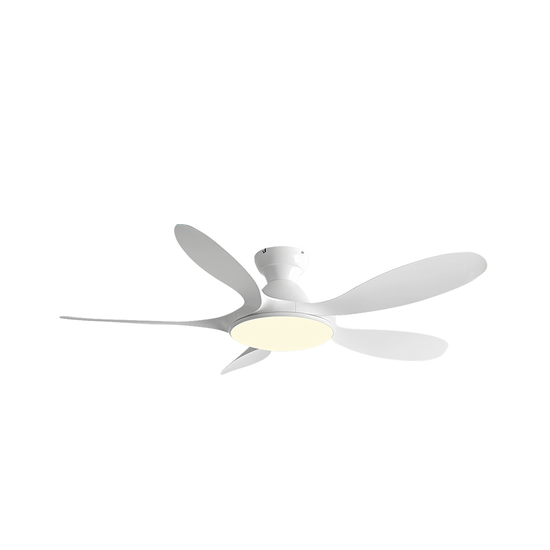 WINTHORPE FIVE-BLADE CEILING LIGHT FAN WITH ABS BLADES AND METAL FRAME