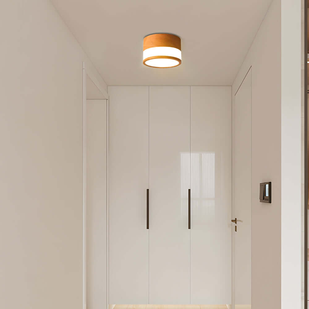 WINDSOR HORIZON ROUND FLUSH-MOUNT LED LIGHT