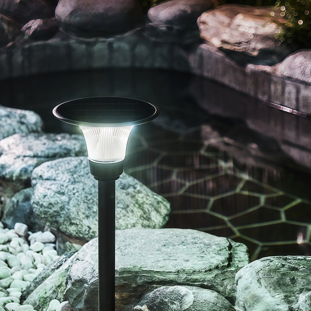 RAVENSDALE NIGHT GLOW SOLAR PATH LIGHT
