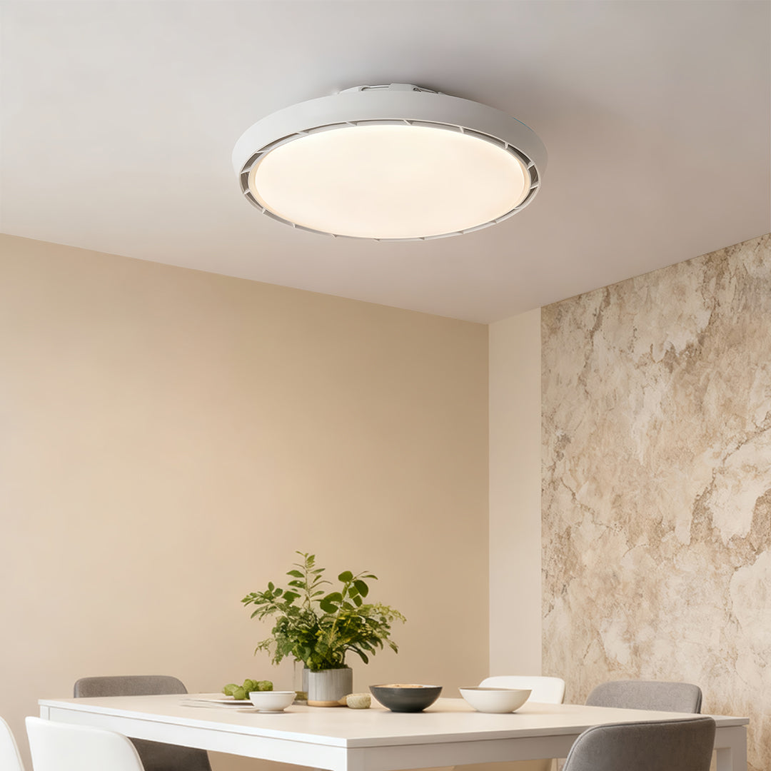 WINDSOR AERO LED CEILING LIGHT WITH DIMMABLE FUNCTION AND LEAFLESS DESIGN