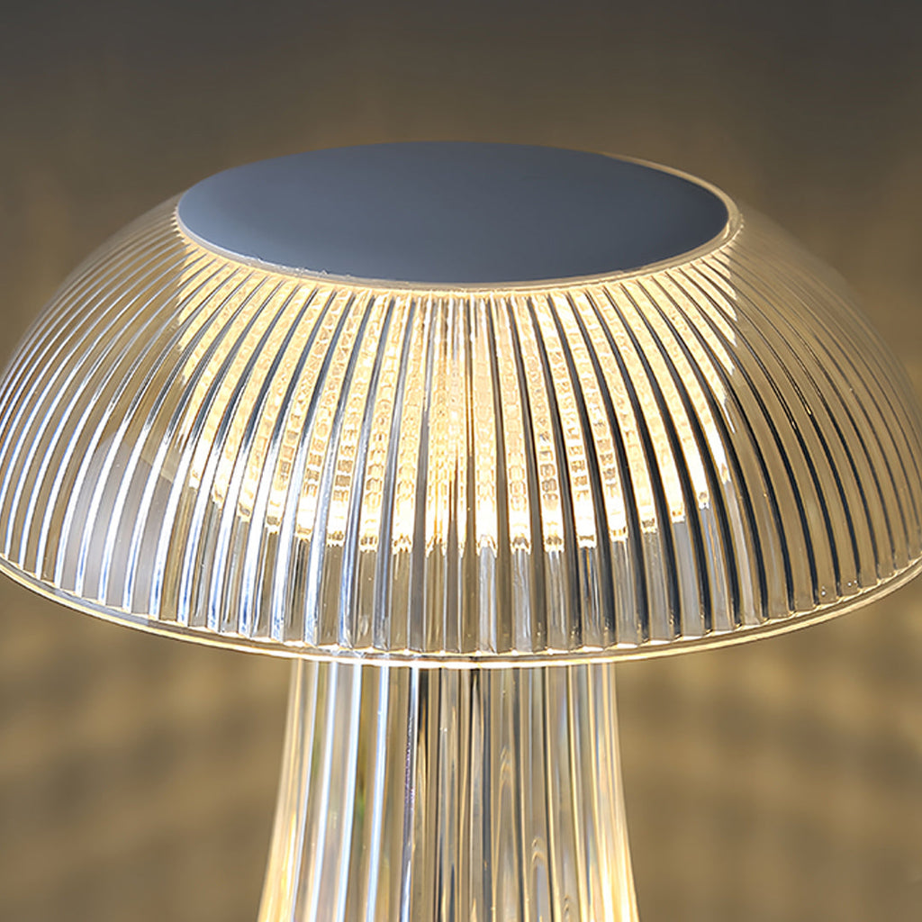 1. **WILLOUGHBY ILLUMINATED ACRYLIC TABLE LAMP**  
   A strikingly clear lamp that combines modern design with portability, perfect for adding a luminous touch to any space.

2. **FENWICK TRANSLUCENT ACRYLIC LAMP**  
   This portable lamp showcases a slee