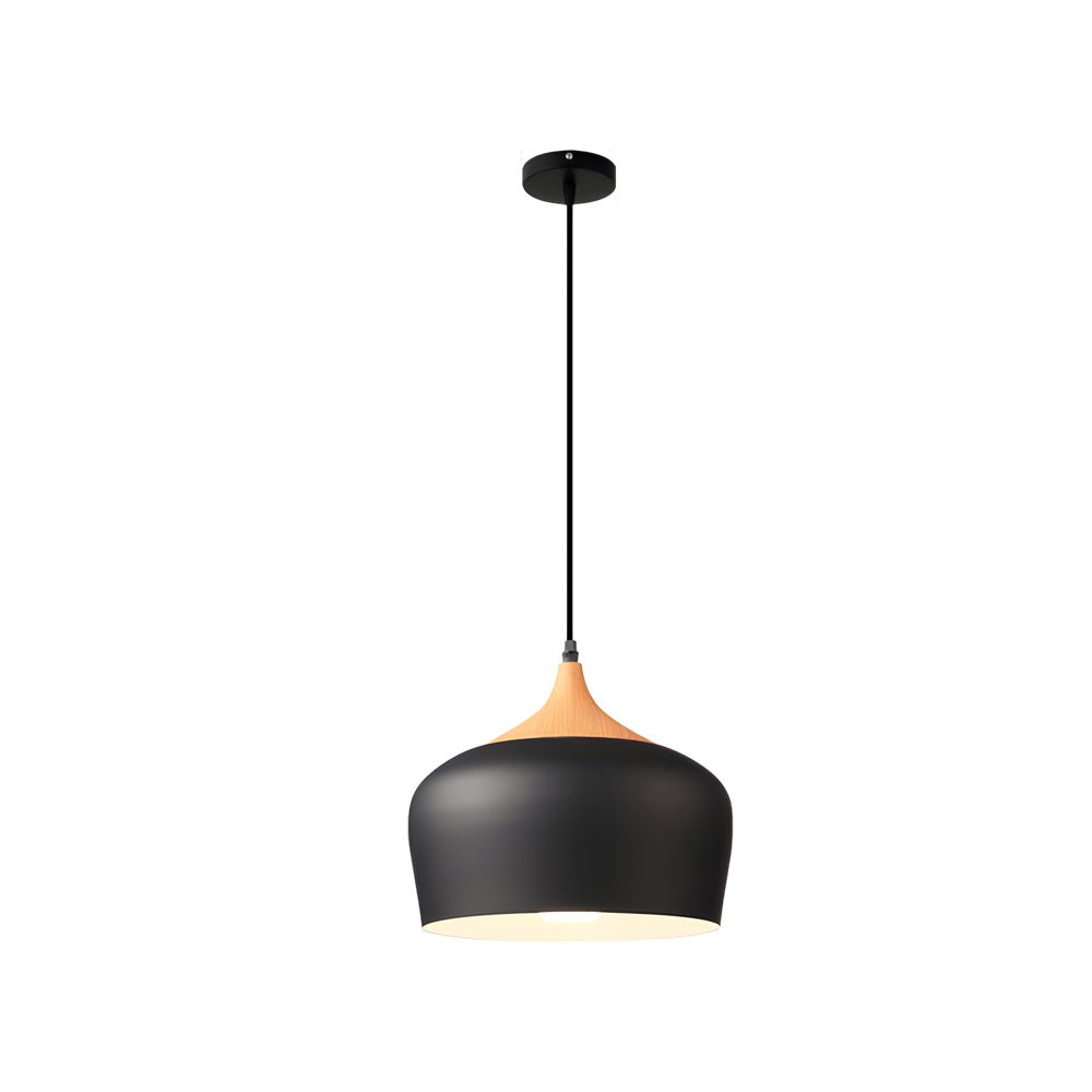 WINTHROP WOODEN ACCENT DOME PENDANT LIGHT