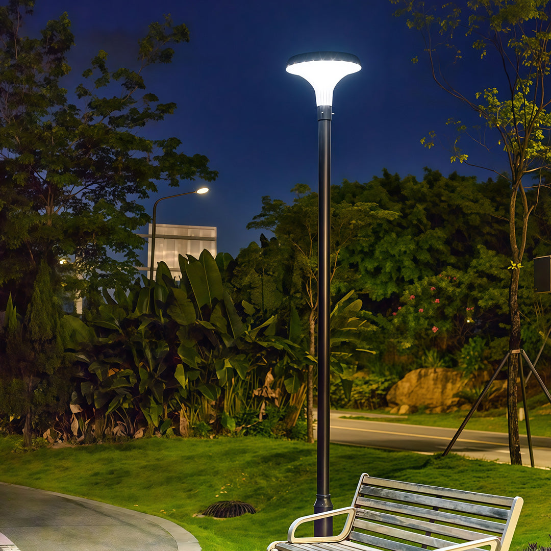 WINTERBOURNE SOLAR-POWERED HIGH POLE ILLUMINATOR