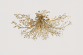 VERDANTIA CEILING GLOW FIXTURE