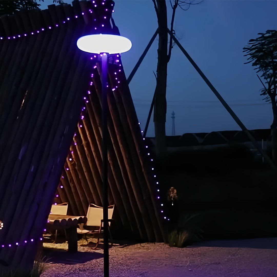 WINTHROP SOLAR-POWERED OUTDOOR LANTERN WITH ALUMINUM AND PE CONSTRUCTION