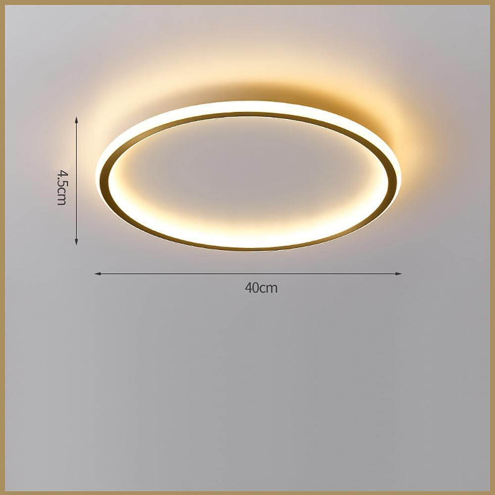 WINTERBOURNE CIRCULAR LED FLUSH MOUNT LIGHT