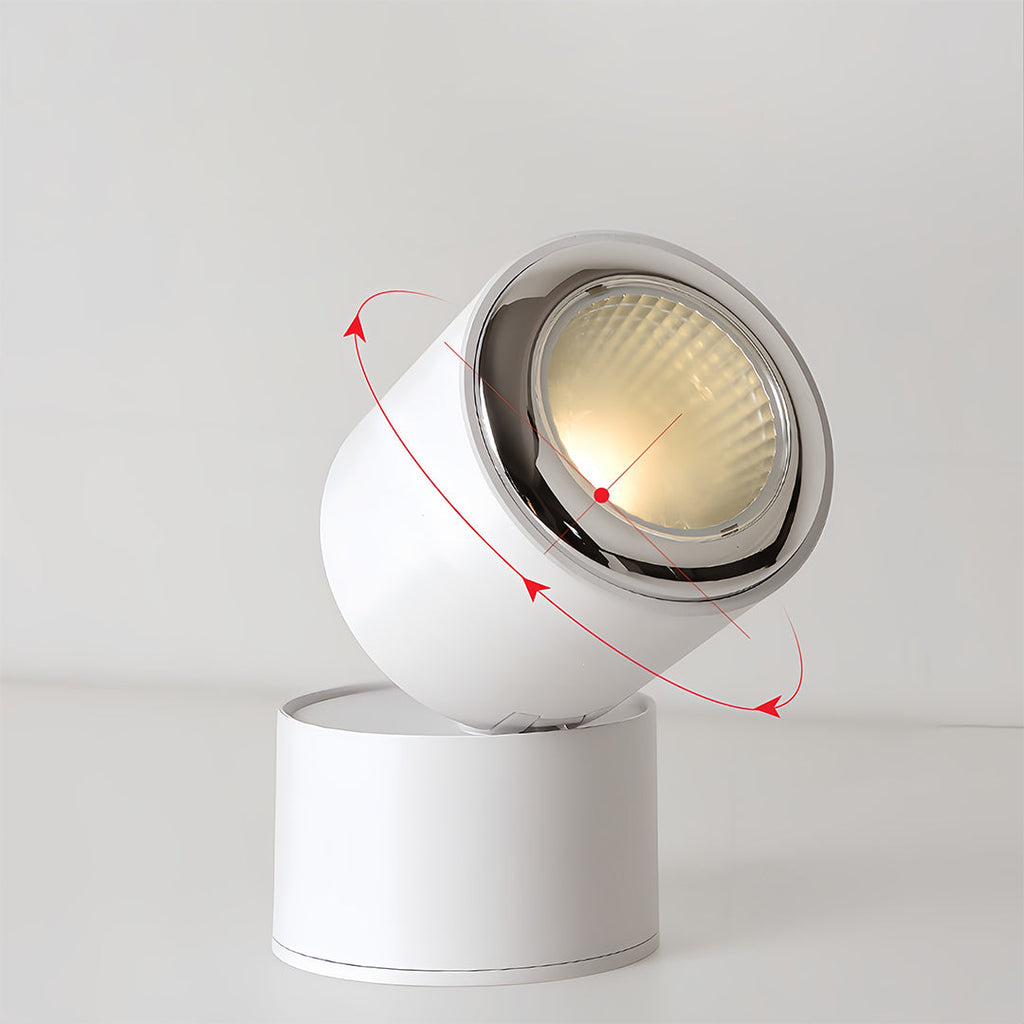 WINDSOR 360° ADJUSTABLE LED SPOTLIGHT WITH ANTI-GLARE BAFFLE