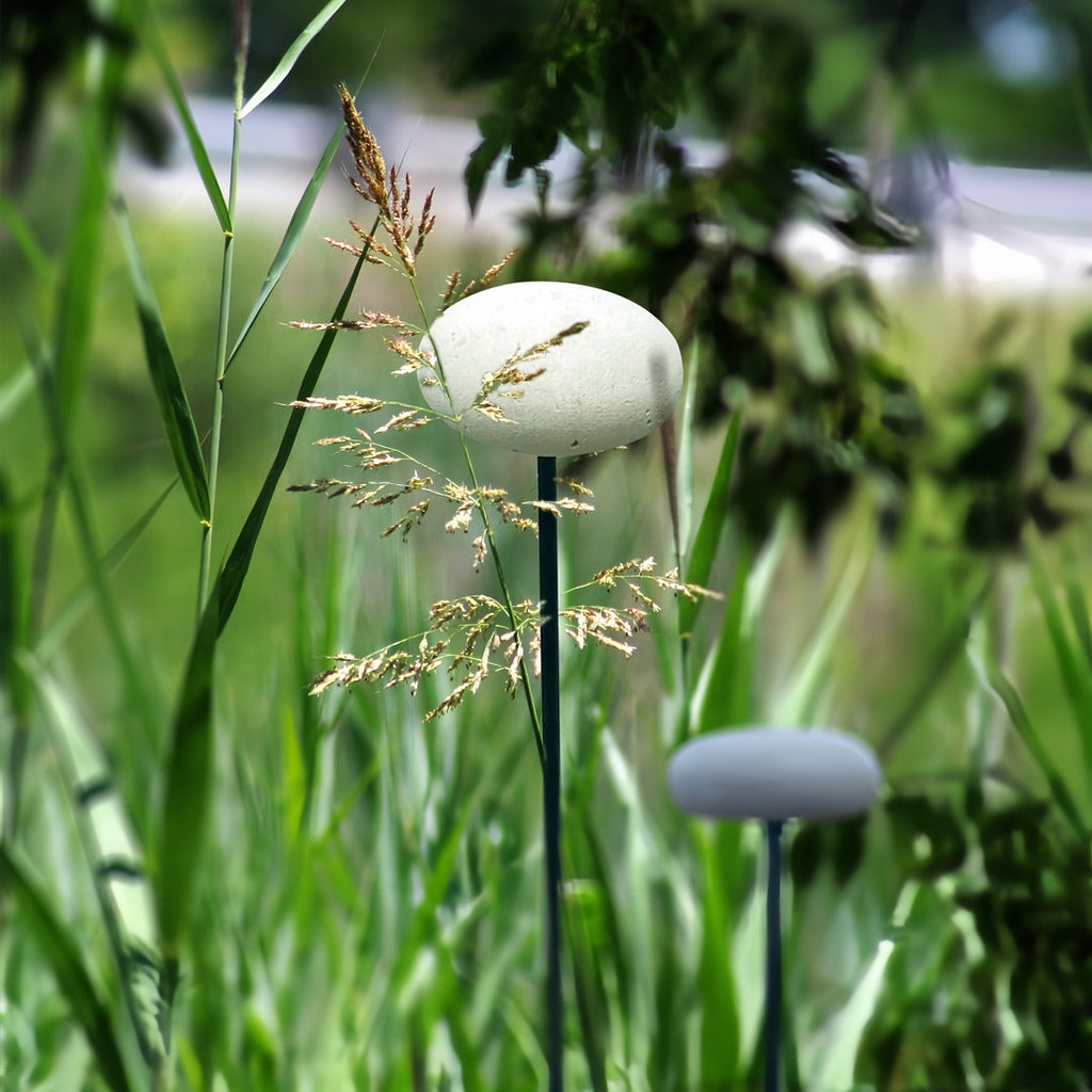 FENWICK FUNGAL GLOW PATH LIGHTS WITH EYE-SOFTENING ILLUMINATION