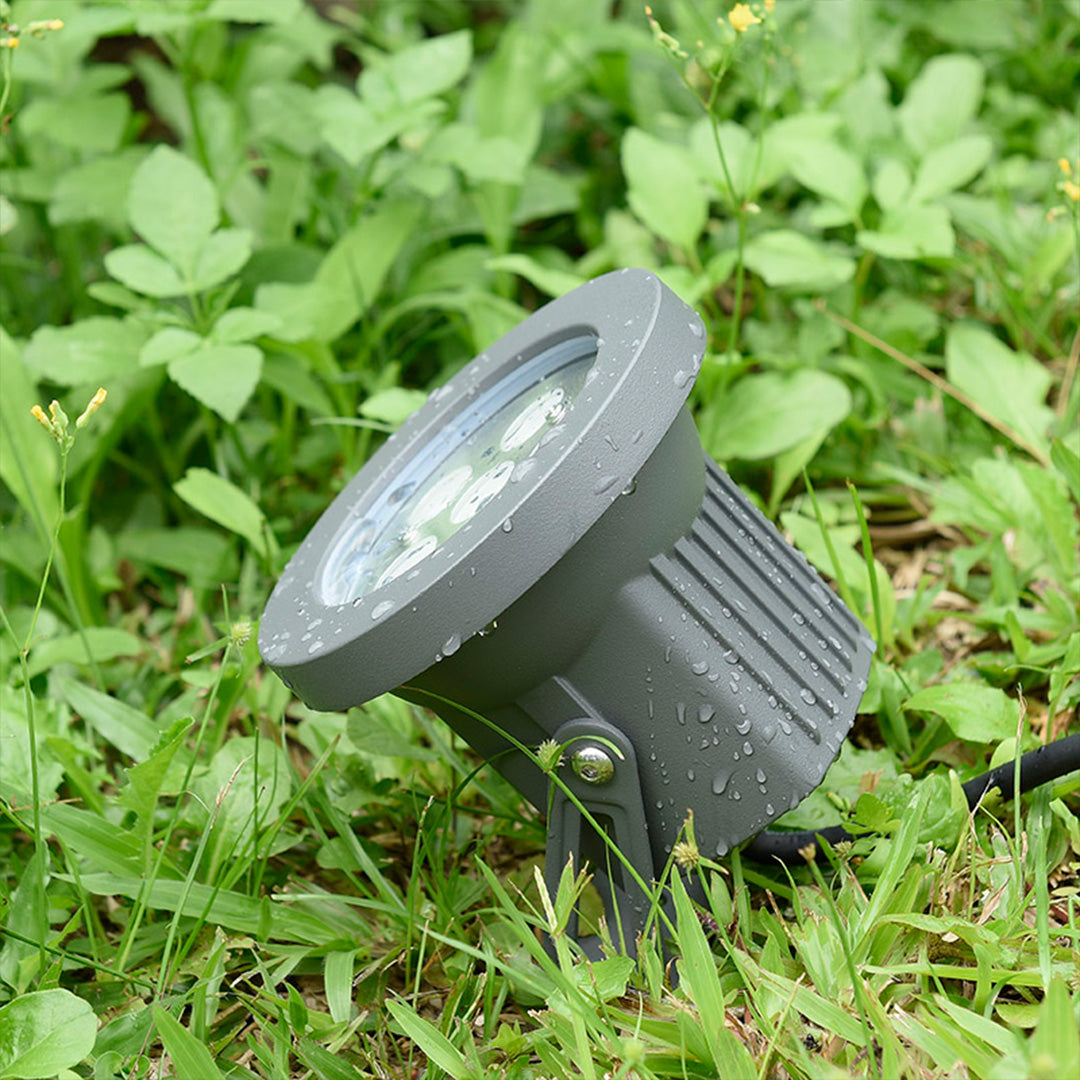WINDSOR GROVE ILLUMINATION SPOTLIGHTS FOR ARBOREAL DISPLAY